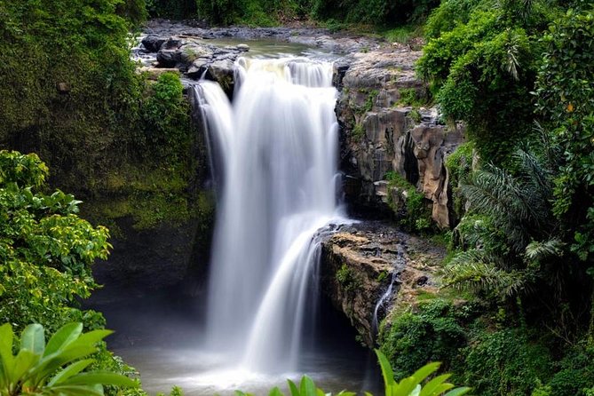 Skip-the-Line: Ubud Tour - All Inclusive Tickets - Tegalalang Rice Terrace and the best wide view