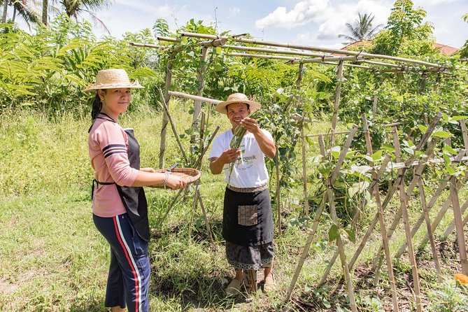 Small-Group Farm Tour & Balinese Cooking Class in Ubud with Kadek - The meal at the end of class