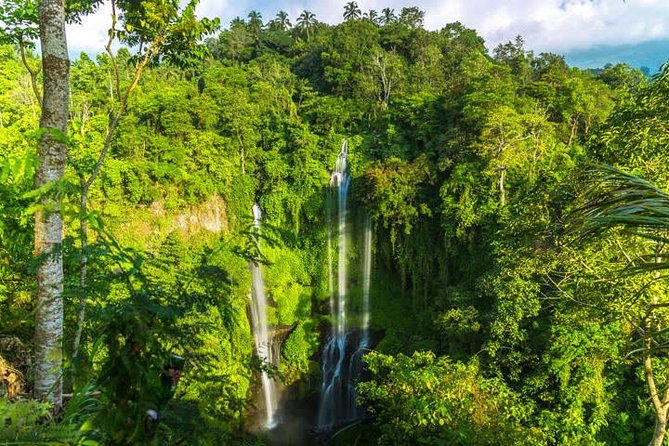 Small-Group Sekumpul Waterfall Jungle Trek with Lunch - The 5 a.m. pickup and drive north