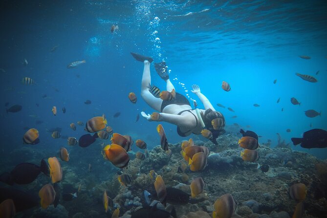 Snorkeling 4 Spots, Manta Rays, Tembeling Pool & Kelingking Beach - How the guides shape the day