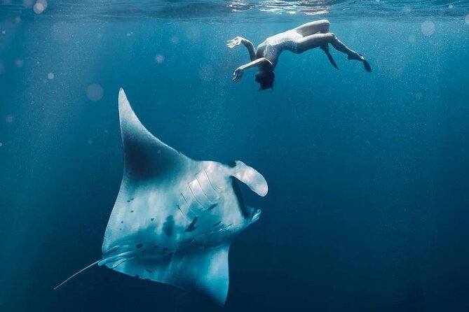 Snorkeling 4 Spots, Manta Rays, Tembeling Pool & Kelingking Beach - Four snorkeling locations around Nusa Penida