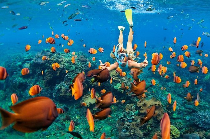 Snorkeling at Blue Lagoon Bali with Lunch and Transport - Who should book this Blue Lagoon outing?