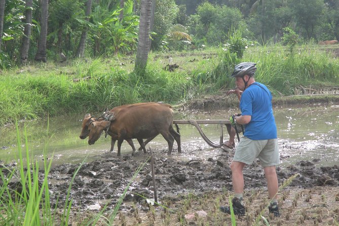 Snorkeling & Trekking at West Bali National Park - Jayaprana and Layon Sari begin the second day