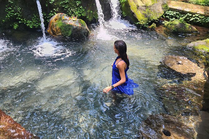 Spiritual Cleansing Ritual and Shamanic Healing in Bali - Tegallalang Rice Terrace: a scenic finish