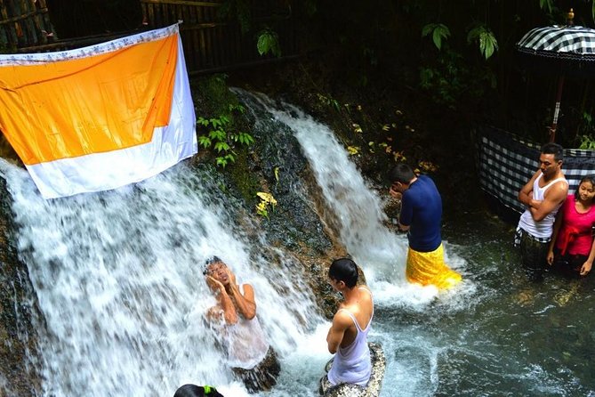 Spiritual Purification and Local Healer Visit Tour (ALL INCLUDED) - Tegalalang Rice Terrace and the subak tradition
