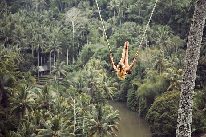 Swimming At Taman Sari Waterfall & Visit The Best Site Of Ubud - A Waterfall First, Then Ubud’s Best-Known Sights