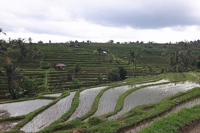 Tanah Lot and North Bali Private Tour - All inclusive - What the Private Format Really Adds
