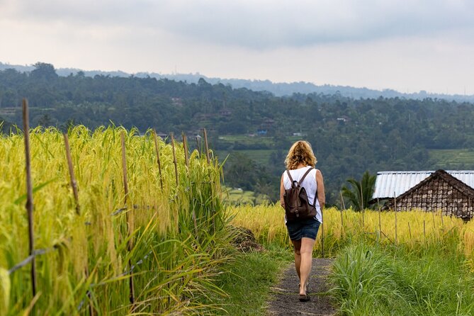 Tanah Lot, Jatiluwih Rice Terrace and Waterfall Day Tour - Banyumala Waterfall for a cool change of pace