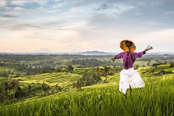 Tanah Lot, Jatiluwih Rice Terrace and Waterfall Day Tour - Ulun Danu Beratan beside the lake