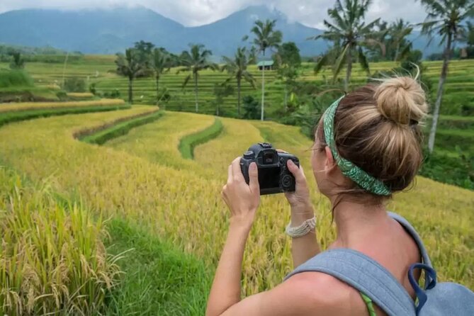 Tanah Lot, Jatiluwih Rice Terrace and Waterfall Day Tour - What the private vehicle adds