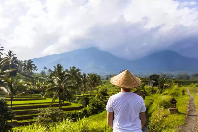 Tanah Lot, Jatiluwih Rice Terrace and Waterfall Day Tour - Food, fees, and the real price