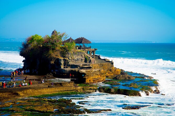 Tanah Lot, Jatiluwih Rice Terrace and Waterfall Day Tour - Walking the wide fields at Jatiluwih