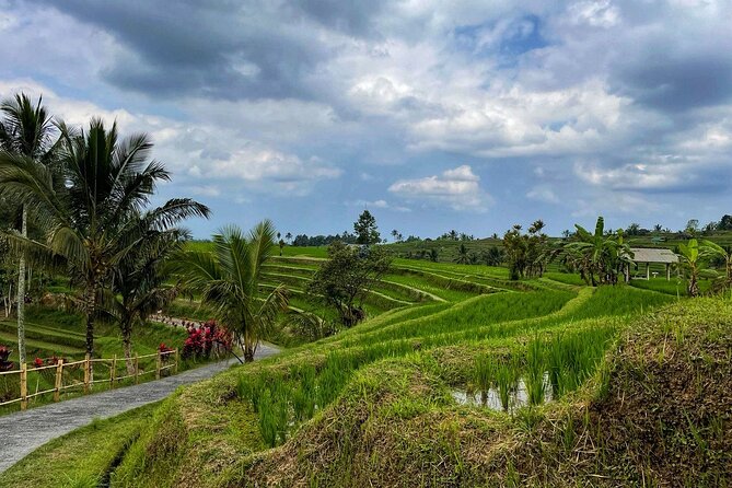 Tanah Lot - Ulun Danu Beratan Temple - Scenic Countryside Tour - Four very different sides of Bali in one day