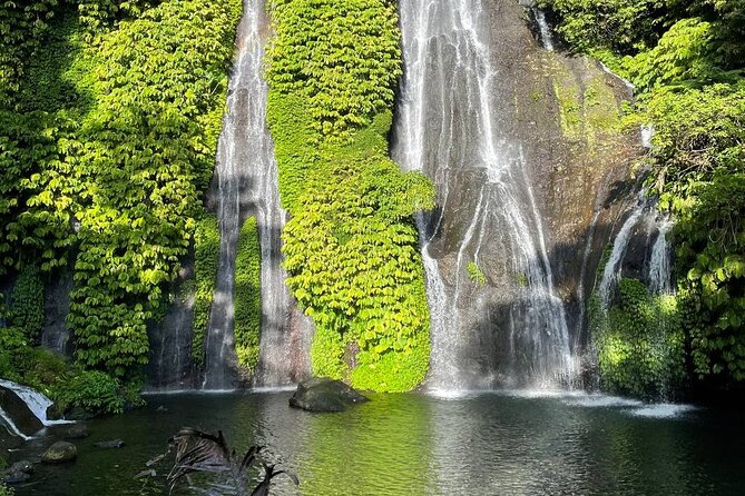 Tanah Lot - Ulun Danu Beratan Temple - Scenic Countryside Tour - Is $85 good value for up to four people?