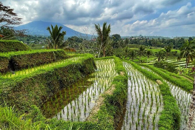 Tanah Lot - Ulun Danu Beratan Temple - Scenic Countryside Tour - Banyumala Twin Waterfall requires the most time