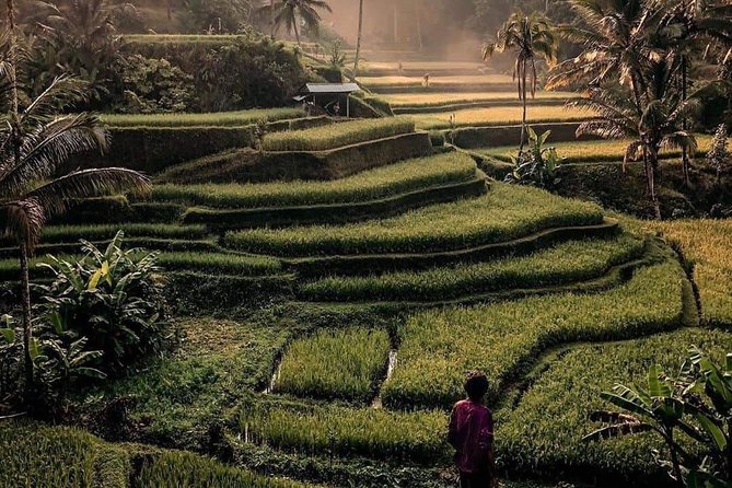 The Gates of Heavan - Ubud Jungle Swing & Waterfall Tour - Is $33 good value?