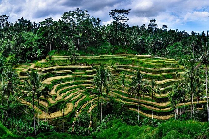 The Popular Of Ubud Private Day Tour - Tegenungan Waterfall: a short tropical break