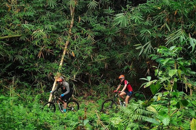 The Volcano Trail – Epic Volcano Cycling Adventure - From Kintamani’s volcanic highlands to Bali’s rice fields