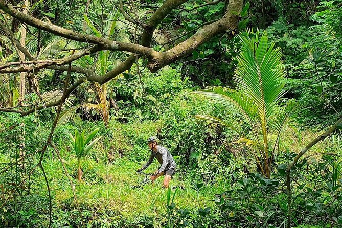 The Volcano Trail – Epic Volcano Cycling Adventure - Who should book the Volcano Trail