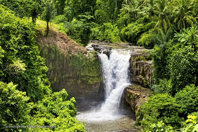 Three Main spot Bali Waterfall with Swing - The Ubud Jungle Swing is an optional splurge