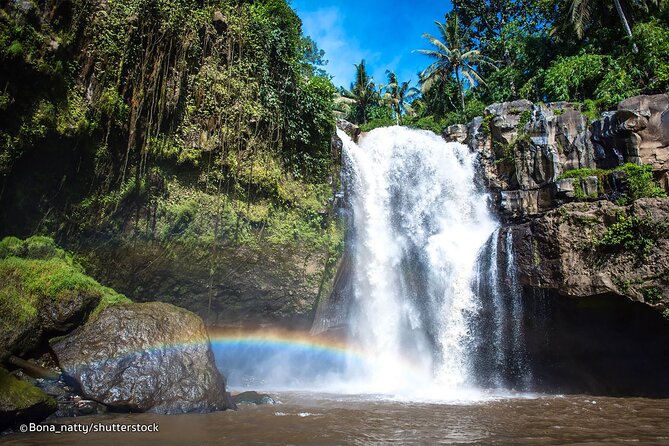 Three Main spot Bali Waterfall with Swing - The guides are a major part of the value