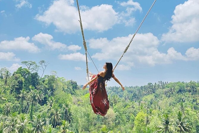 Tirta Empul temple, Jungle Swing and Waterfalls - Private Tour - What the $24.65 price really covers