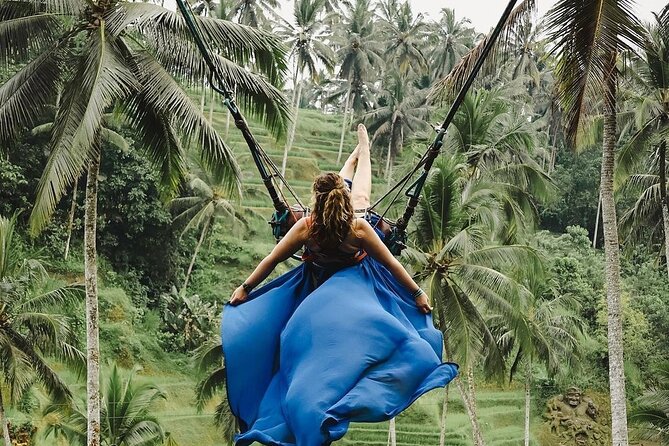 Tirta Empul temple, Jungle Swing and Waterfalls - Private Tour - Tegalalang Rice Terrace: start with Bali’s farming traditions