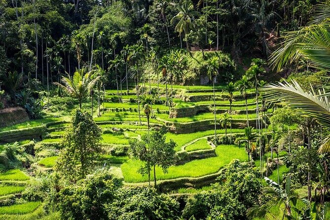 Top Ubud Attractions: Private Full-Day Guided Tour - Mas Village puts local carving in view