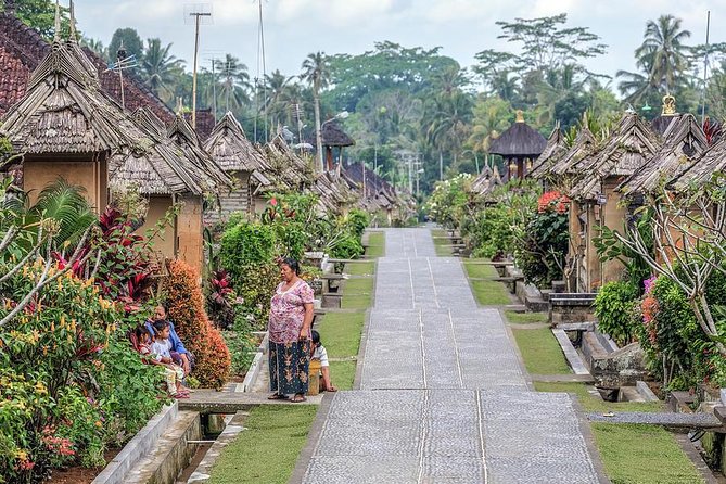 Trunyan Cemetery, Hot Spring, Penglipuran Village, and Waterfall Tour - Timing, comfort, and the private-tour advantage