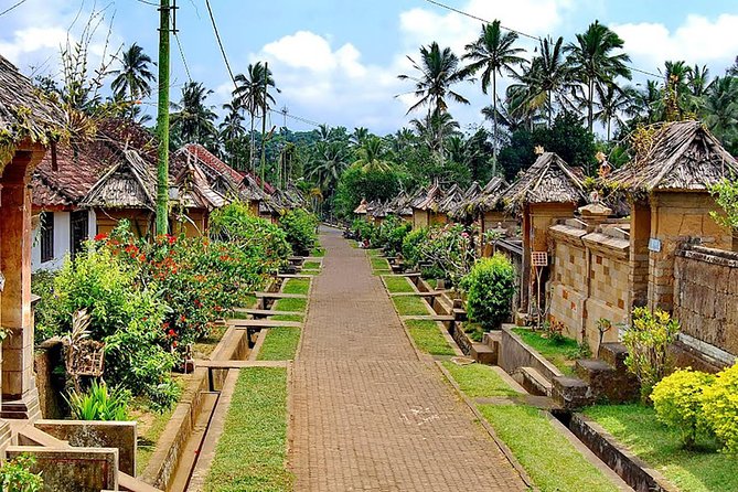 Trunyan Cemetery, Hot Spring, Penglipuran Village, and Waterfall Tour - Who should book this Bali tour