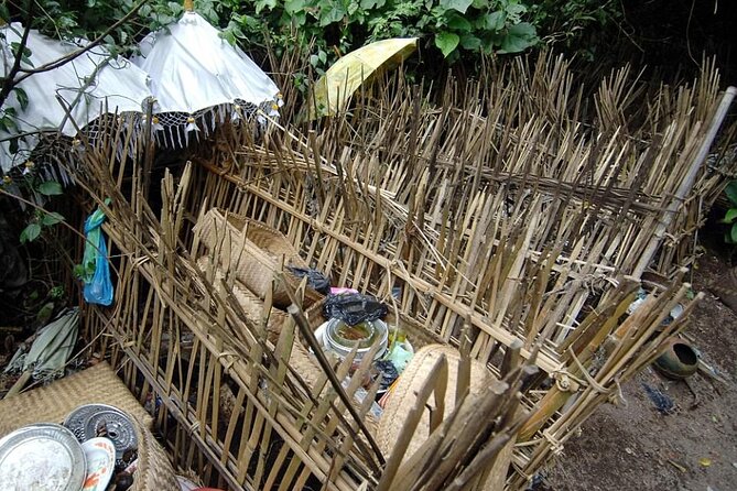 Trunyan Cemetery, Hot Spring, Penglipuran Village, and Waterfall Tour - Penglipuran Village and its traditional layout