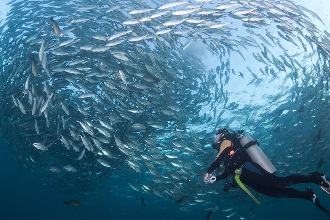 Tulamben Diving Tour Shipwreck USS Bali - Key points to know