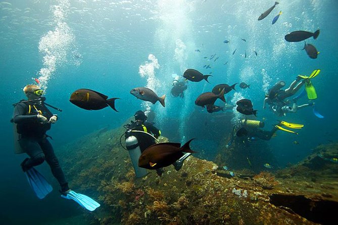 Tulamben Diving Tour Shipwreck USS Bali - Why the USS Liberty makes this day special