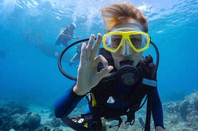 Tulamben Diving Tour Shipwreck USS Bali - What the $102.57 price really covers