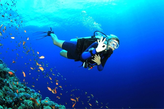 Tulamben Diving Tour Shipwreck USS Bali - Safety, health, and timing rules