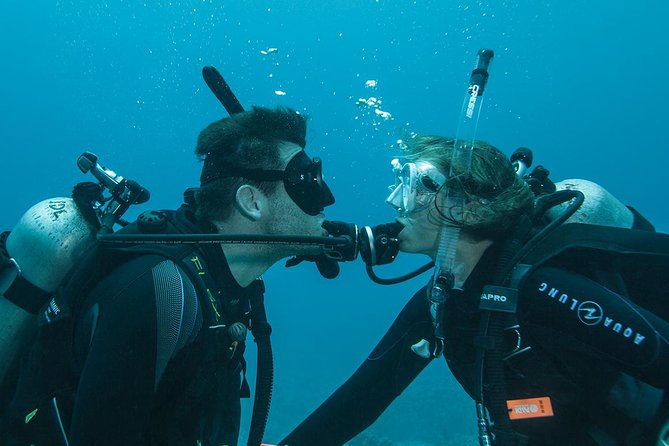 Tulamben Diving Tour Shipwreck USS Bali - Who will get the most from this outing