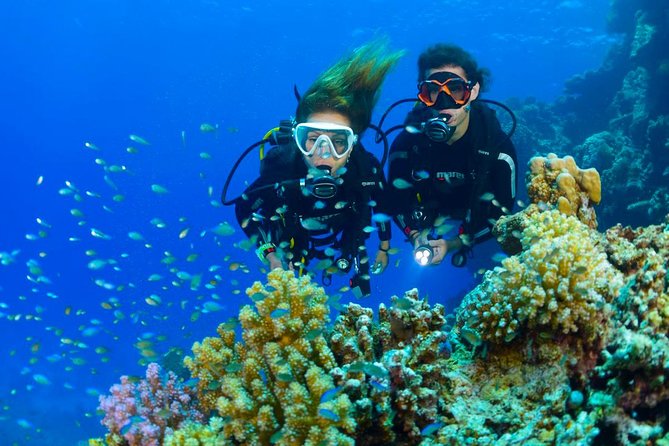 Tulamben Diving Tour Shipwreck USS Bali - The 7:30 am hotel pickup and road to Tulamben