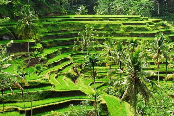 Ubud 1 Day Tour (Private & All-Inclusive) - Who should book this Ubud experience?