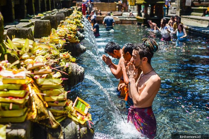 Ubud All-Inclusive Private Guide Tour - Key points at a glance