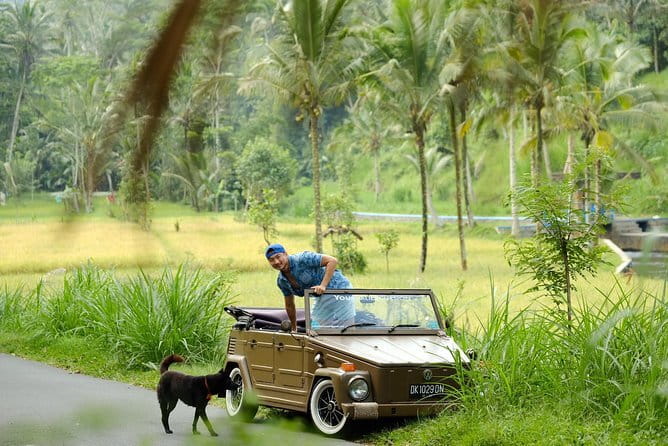 Ubud All-Inclusive Tour with Swing and Lunch - Sacred Monkey Forest Sanctuary