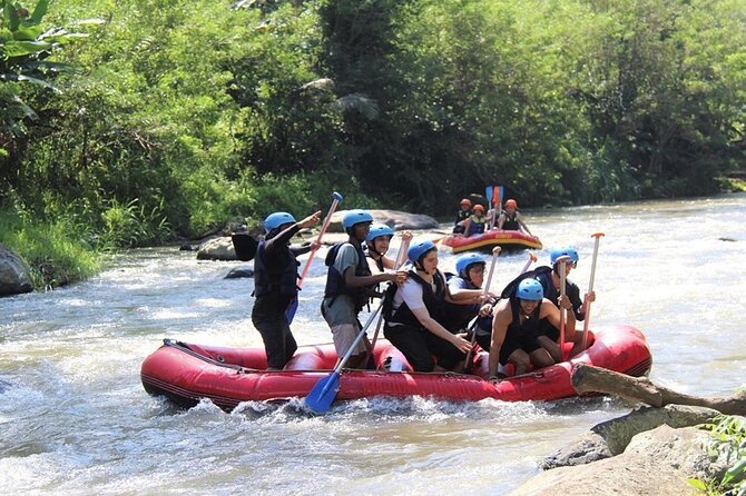 Ubud ATV Quad Bike with Ayung River Rafting Experience - Solo or tandem quad biking