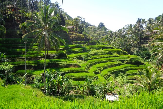 Ubud ATV ride Adventure and water rafting - Who will get the most from this outing
