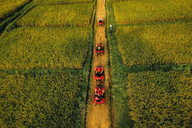 Ubud ATV Ride through River Jungle Rice Fields Puddles - River crossings and the Gorilla Cave