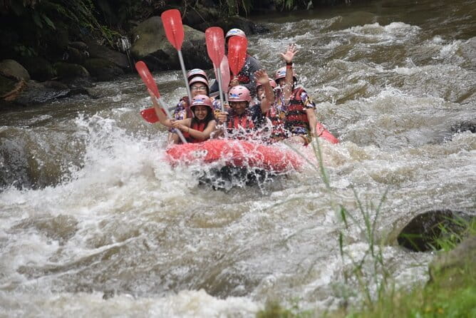 Ubud Ayung River Rafting with Meeting Point or Pickup - Who should book this rafting trip