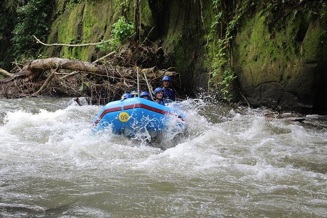 Ubud Ayung Water Rafting included Lunch and Transfer - Who will enjoy this most?