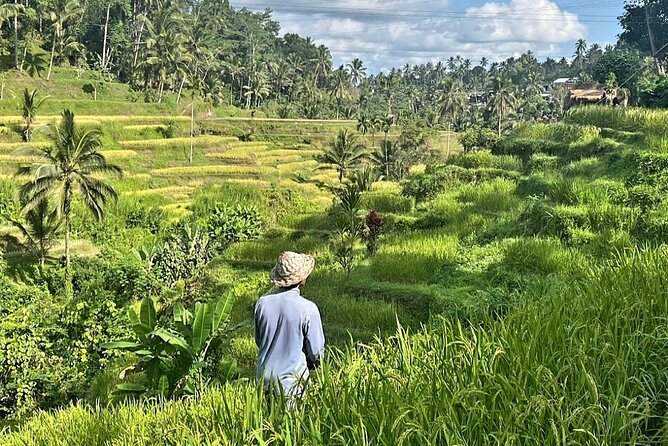 Ubud Bali Driver - Private Driver in Ubud - Why a private Ubud car makes sense