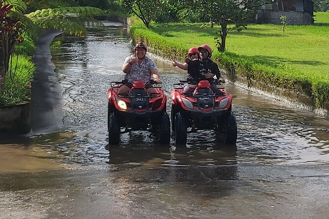 Ubud Bali Driver - Private Driver in Ubud - Tegalalang Rice Terrace above northern Ubud