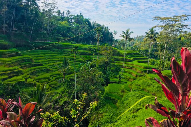 Ubud Best Tour - The 8:30 am start and 10-hour pace
