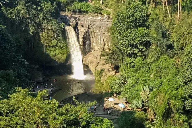 Ubud Best Tour - Two hours among the monkeys at Sacred Monkey Forest