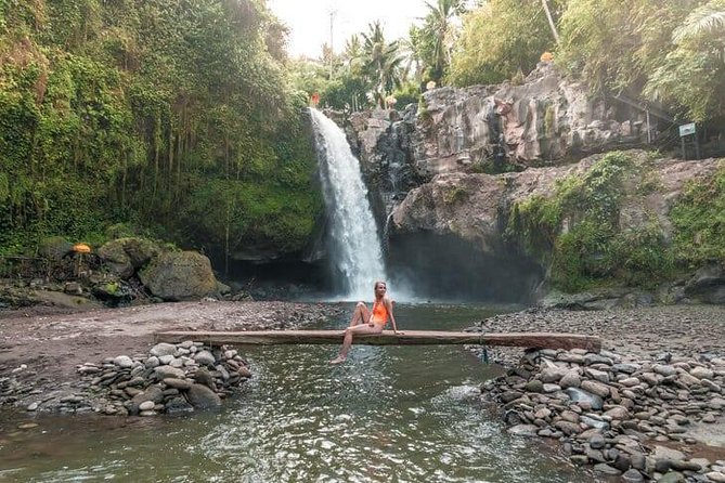 Ubud City Tour I: Monkey Forest, Ubud Palace, Art Market, and Waterfall - What the private vehicle adds